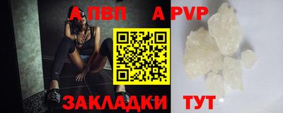 стафф Заводоуковск