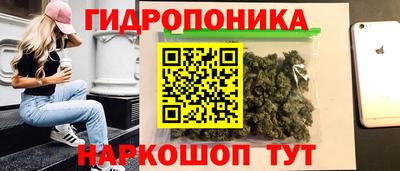 стафф Заводоуковск