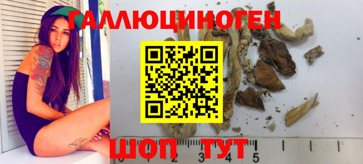 Галлюциногенные грибы Psilocybe Лесной